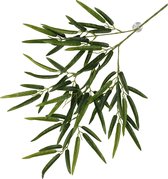 Terra Della - Terrariumplant - Reptielen - Hangende Plant Bamboe 65x35x4cm Groen - 1st