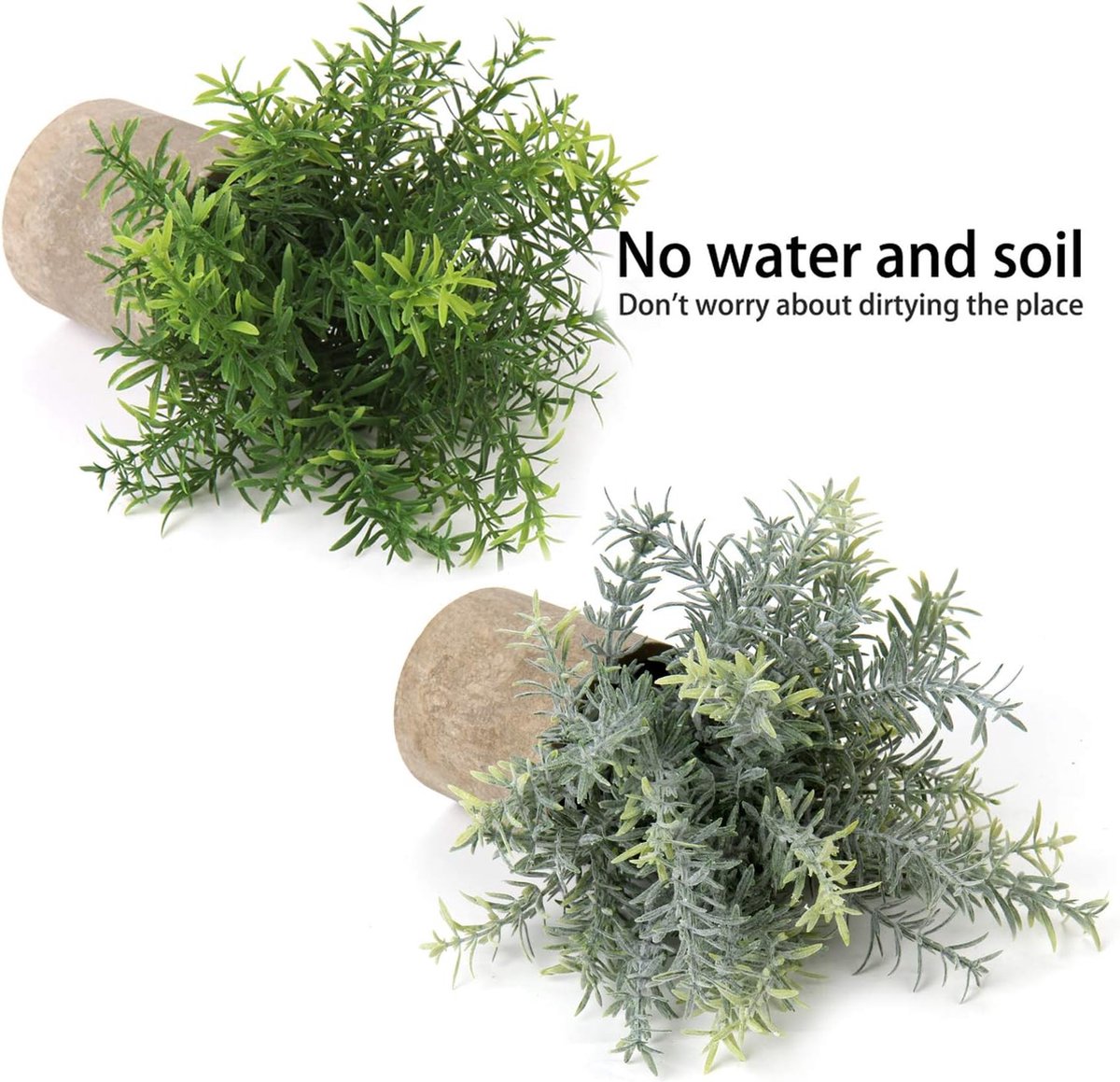 Laurus nobilis Echte kruidenlaurier, 40 cm, aromatisch, onderhoudsvriendelijk en winterhard, ideale kruidenplant voor tuin en keuken Laurus nobilis Echte kruidenlaurier, 40 cm, aromatisch, onderhoudsvriendelijk en winterhard, ideale kruidenplant voor tuin en keuken
