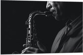Vlag - Man Blazend op Trompet (Zwart-wit) - 90x60 cm Foto op Polyester Vlag