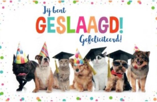 Een kaart met een groep honden en katten met afstudeerhoeden en feestmutsen. "Jij bent GESLAAGD! Gefeliciteerd!"