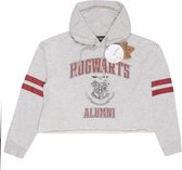 Harry Potter - Hogwarts Alumni Crop Sweater - 2XL - Grijs