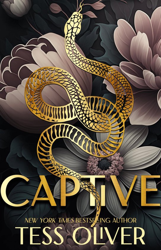 Lace Underground Trilogy 1 - Captive (ebook), Tess Oliver ...