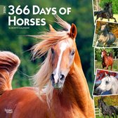 I Love Horses 366 Days Kalender 2024