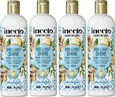 Inecto - Après-shampooing à l'arganier - pack de 4
