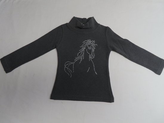 Trui - Coltrui - Meisje - Grijst - Paard - 3 jaar 98
