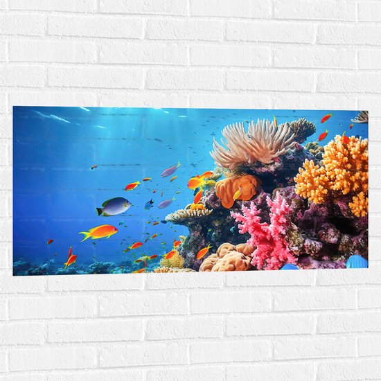 Muursticker - Felkleurige Koraal Omringd door Tropische Vissen op Zeebodem - 100x50 cm Foto op Muursticker