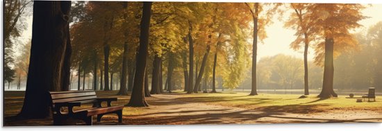 Dibond - Bomen - Bankje - Park - Bladeren - 90x30 cm Foto op Aluminium (Met Ophangsysteem)