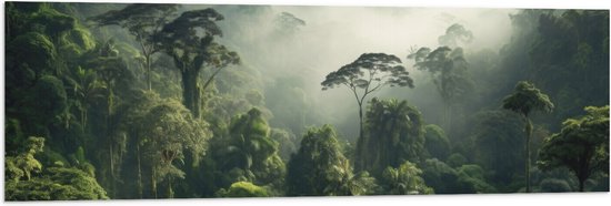 Vlag - Bomen - Bos - Groen - Mist - 120x40 cm Foto op Polyester Vlag