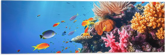 Vlag - Felkleurige Koraal Omringd door Tropische Vissen op Zeebodem - 90x30 cm Foto op Polyester Vlag