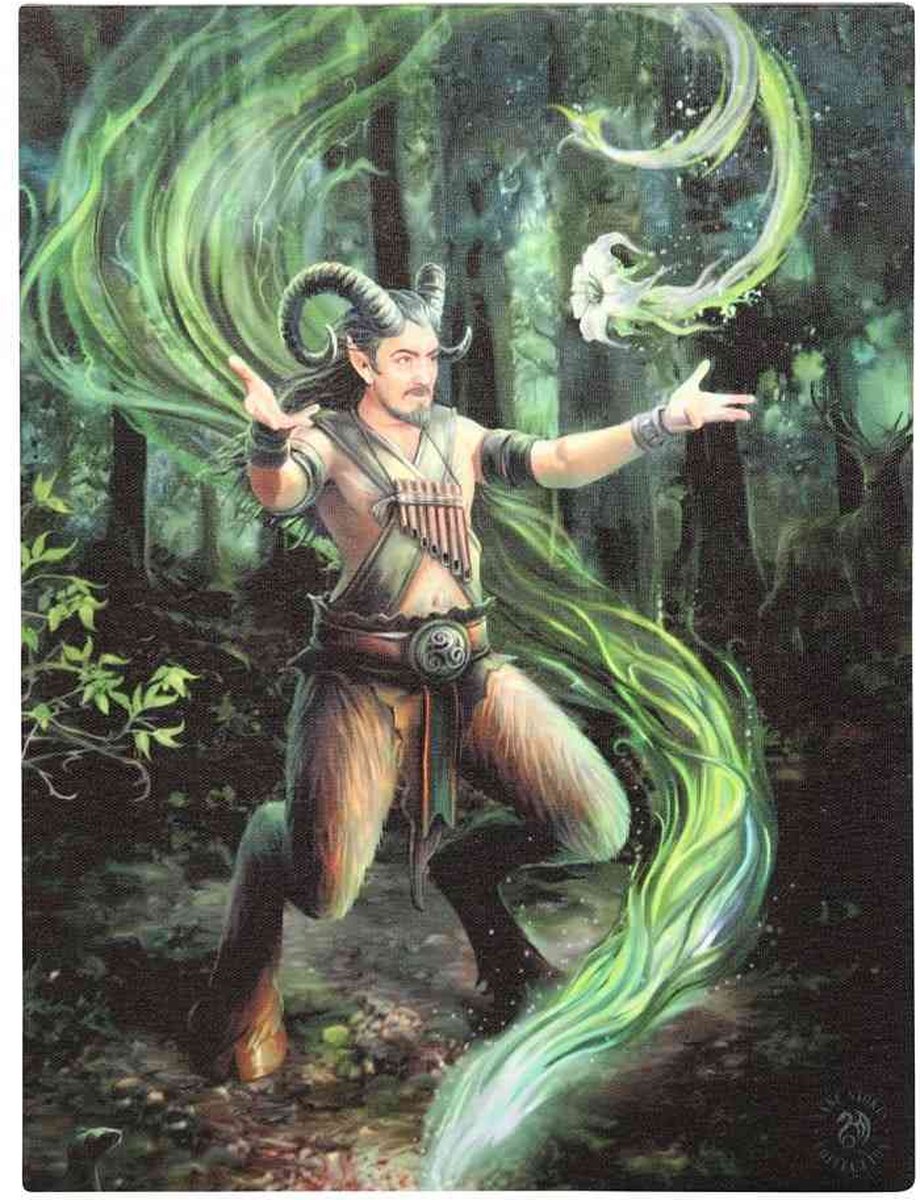 Something Different - 19x25cm Earth Element Wizard Canvas afbeelding - Multicolours