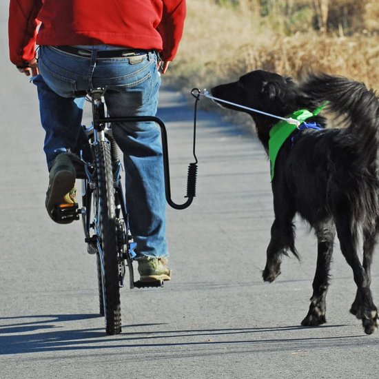 SPRINGER Hondenfietsbeugelset