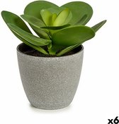 Decoratieve plant 18 x 18,5 x 18 cm Grijs Groen Plastic (6 Stuks)