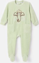 Woody barboteuse velours bébé unisexe - vert pastel - mammouth - 232-10-RBF- V/704 - taille 86