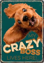 Bord Blik Crazy Boss (v)