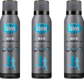 Odorex Deo Spray Men – Dry Protection 3 x 150 ml