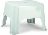 Forte Plastics Keukenkrukje/opstapje - Handy Step - mintgroen - kunststof - 40 x 30 x 28 cm