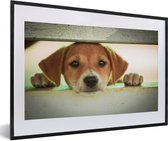 Photo encadrée - Puppy regarde à travers un cadre photo cage noir avec passe-partout blanc 60x40 cm - Affiche encadrée (Décoration murale salon / chambre)