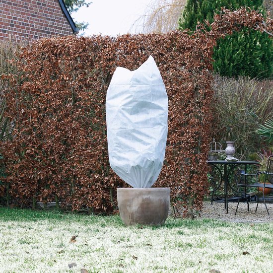 Een plant in een pot bedekt met een witte winterhoes in een tuin.
