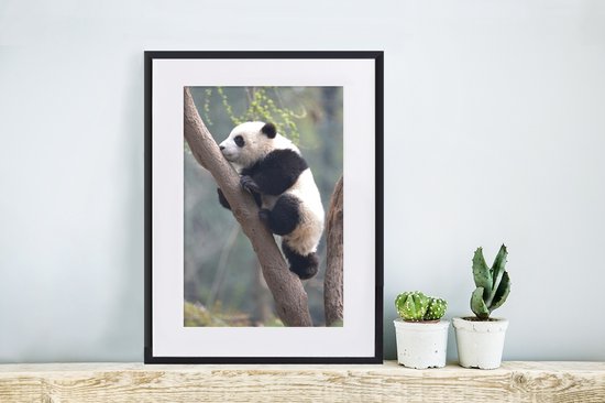 Jeune panda grimpe à un arbre 30x40 cm - petit