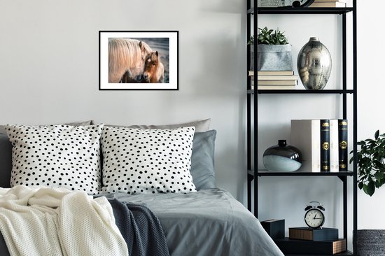 Affiche avec cadre Poney - Poulain - Câlin - 40x30 cm
