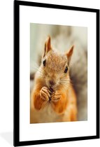 Photo encadrée - Cadre photo écureuil en gros plan noir avec passe partout blanc 60x90 60x90 cm - Affiche encadrée (Décoration murale salon / chambre)