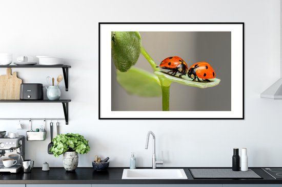 Fotolijst incl. Poster - Twee lieveheersbeestjes op blad - 120x80 cm - Posterlijst