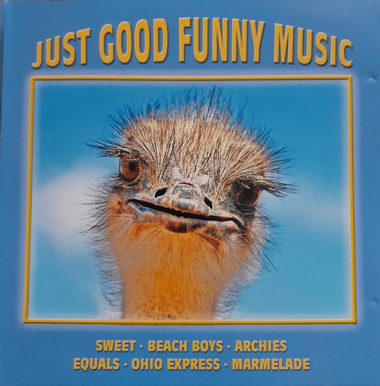 Just Good Funny Music - The Sweet, Chris Montez, Beach Boys. Turtles, Dion, Little Eva, Sir Douglas Quintett