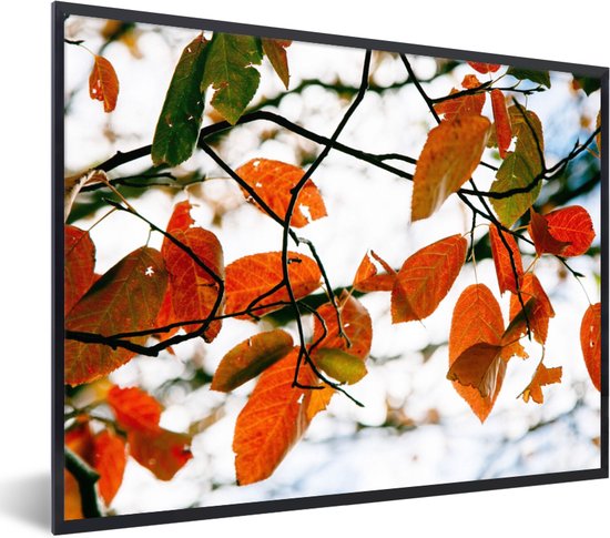 Fotolijst incl. Poster - Herfst - Bladeren - Landelijk - Seizoenen - 80x60 cm - Posterlijst