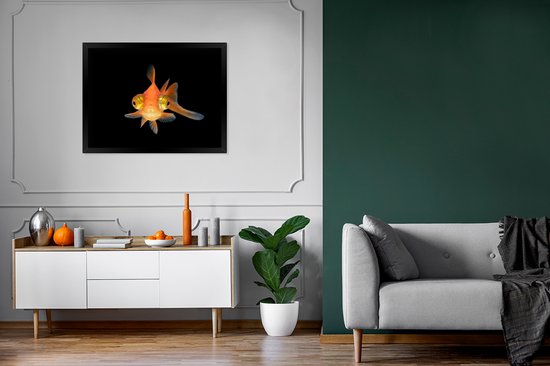 Cadre photo avec affiche - Poisson rouge - Animaux aquatiques - Yeux - 80x60 cm - Cadre pour affiche