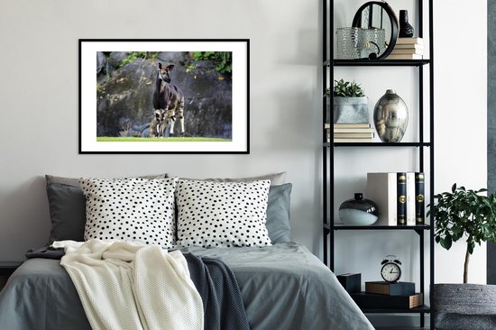 Okapi dans la prairie cadre photo noir avec passe-partout blanc 60x90