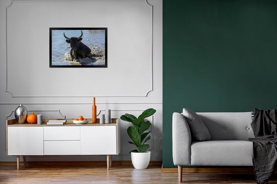 Photo encadrée - Un taureau sort de l'eau en Camargue cadre photo noir sans passe partout 60x40 cm - Affiche encadrée (Décoration murale salon / chambre)