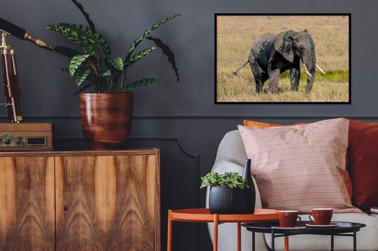 Cadre photo avec poster - Éléphant - Herbe - Animaux - Nature - 60x40 cm - Cadre poster