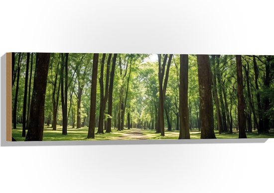 Hout - Bomen - Pad - Bos - Gras - Groen - Bruin - 90x30 cm - 9 mm dik - Foto op Hout (Met Ophangsysteem)