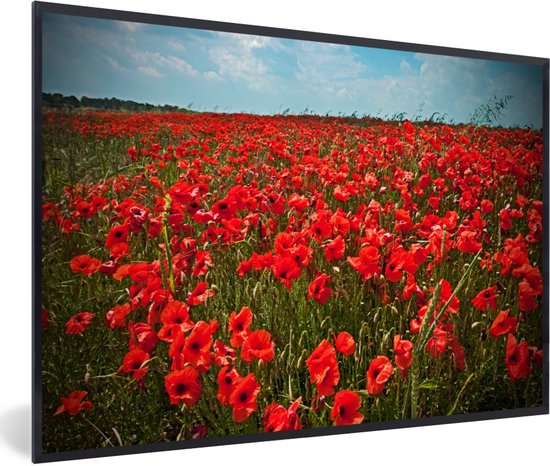 Affiche avec cadre Coquelicot - Une prairie pleine de coquelicots cadre photo noir - cadre photo noir - 30x20 cm - Affiche avec cadre