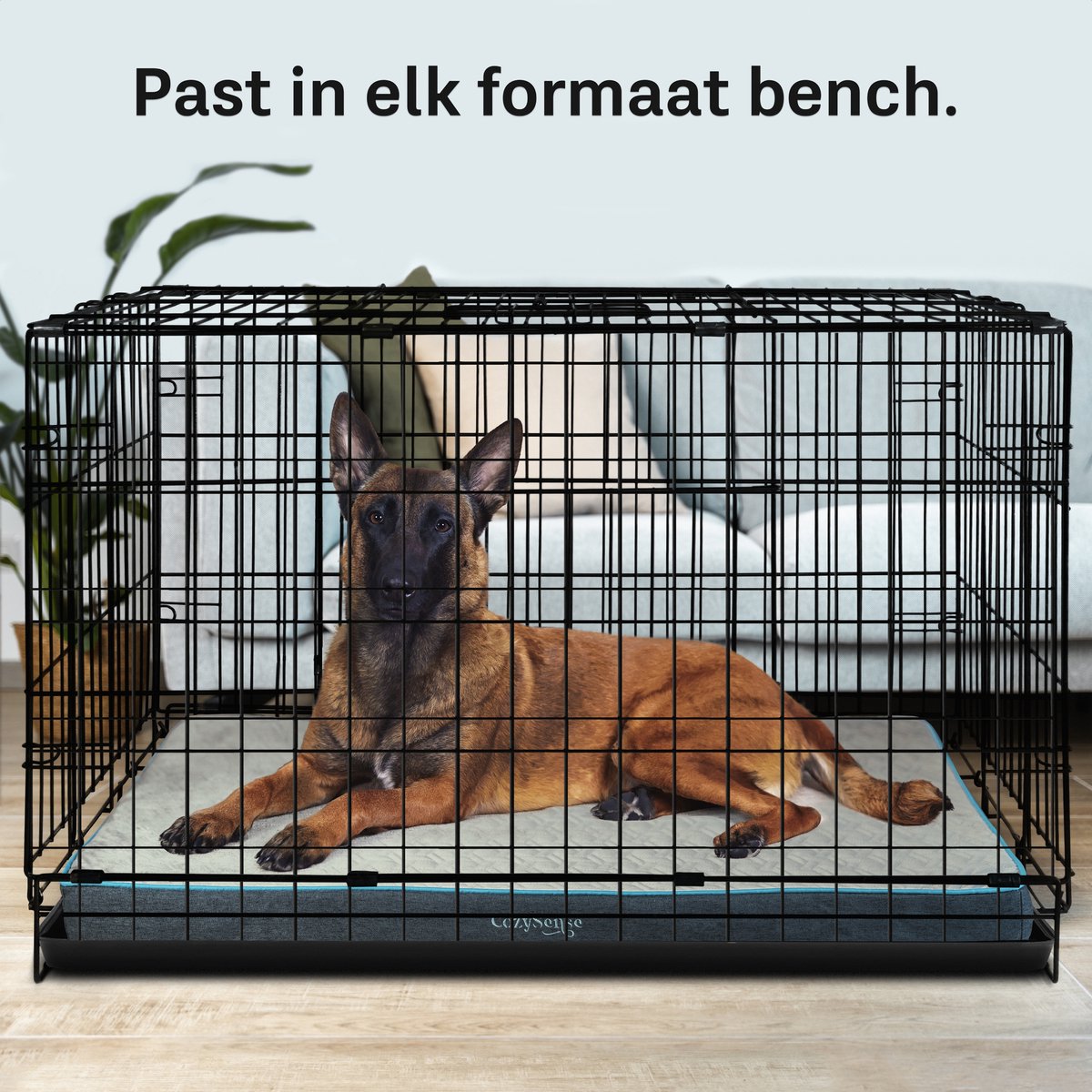 CozySense orthopedisch hondenkussen XL 100 x 70 cm thumbnail 5