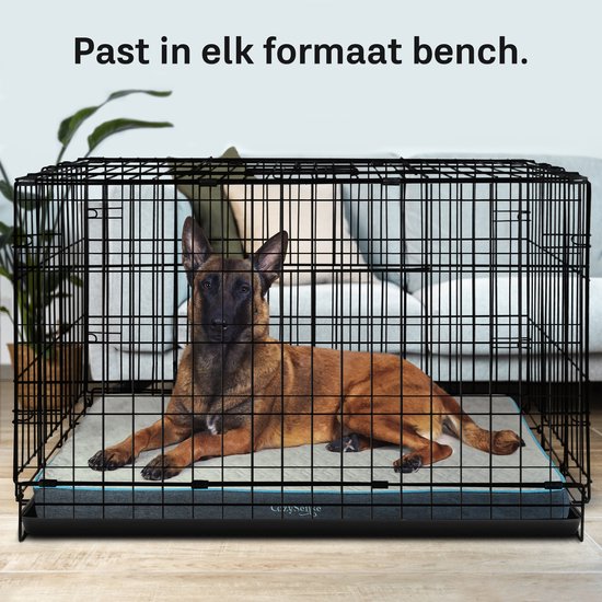 Doctor Bark Orthopedisch Lounge Hondenkussen Zwart kopen? | Het beste voor je hond bij