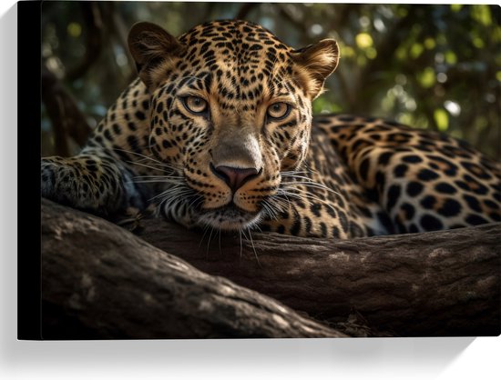 Canvas - Panter Liggend op Dikke Boomstronken - 40x30 cm Foto op Canvas Schilderij (Wanddecoratie op Canvas)