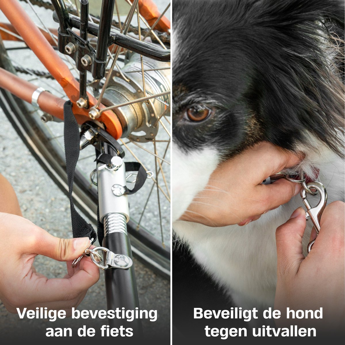 3. Trevopet Hondenfietskar - Beste goedkope hondenfietskar