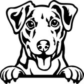 Sticker - Glurende Hond - Jack Russel - Zwart - 25x20cm - Peeking Dog