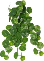 Potato plant - Stephania erecta - pilea bush - kunstplant - 50cm - 78 bladeren