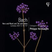 Collegium Vocale Gent, Philippe Herreweghe - Bach: Herz Und Mund Und Tat Und Leben - Cantatas Bwv 6-9 (CD)