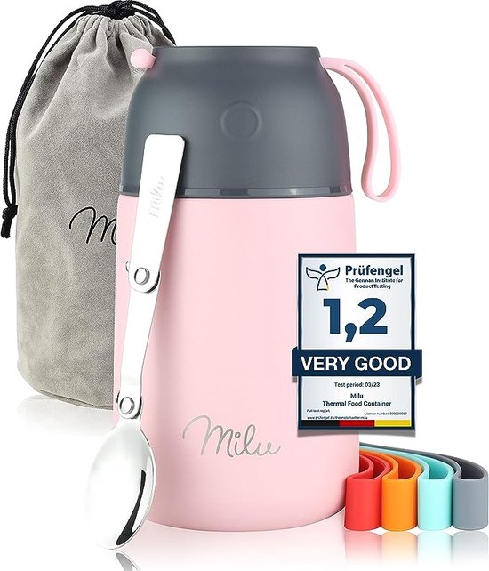 Thermocontainer voor eten 630 ml, roestvrij staal warmhoudbox – thermische lunchbox voor volwassenen en kinderen, herbruikbare voedselcontainer met dubbelwandige isolatie, grijs