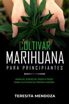 Cultivar Marihuana para Principiantes