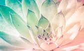 Fotobehang - Vlies Behang - Gekleurde Waterlellie - 208 x 146 cm