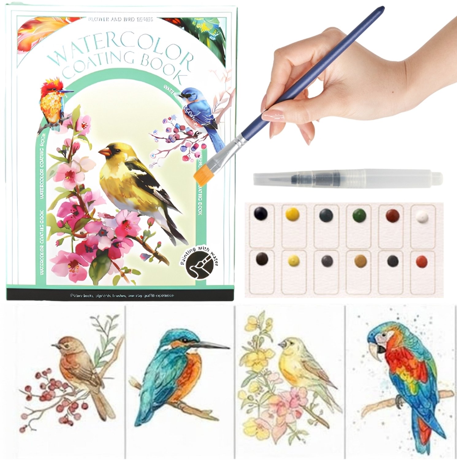 Ainy Aquarel verf set nummer 13 vogels voor kinderen en volwassenen | Waterverf pakket met aquarelpapier & penseel | Knutselen voor meisjes & jongens | Schilderen op kleurboek | Creatief DIY hobby | Tekenen & kunst schetsboek | Schilderset werkboek
