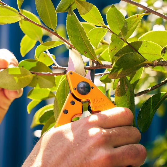 Felco 6 Color Edition Snoeischaar - Voor Middelgrote Handen - Knipt tot Ø 20 mm | Oranje — afbeelding 2