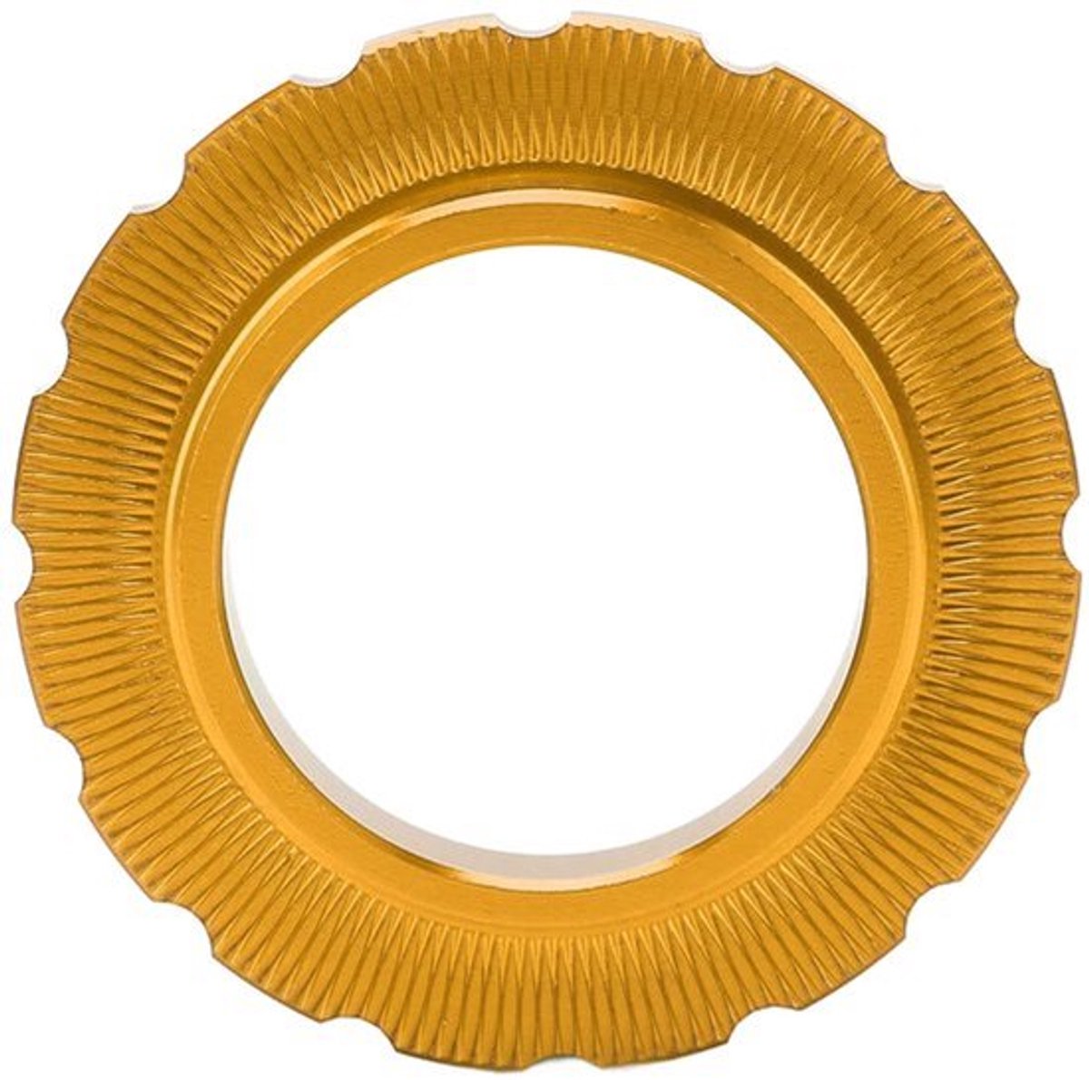 Dailygoody - Fietsaccessoire - Centerlock Lockring - Hoogwaardige