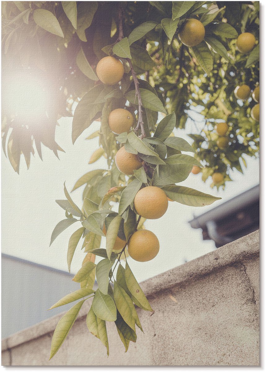 Tulup Polycanvas Wandposter - Zomerfruit, Fotografie - A4 - Groen Design - Rechthoek - Muurkunst - Woonkamer, Slaapkamer, Kantoor - Rustiek