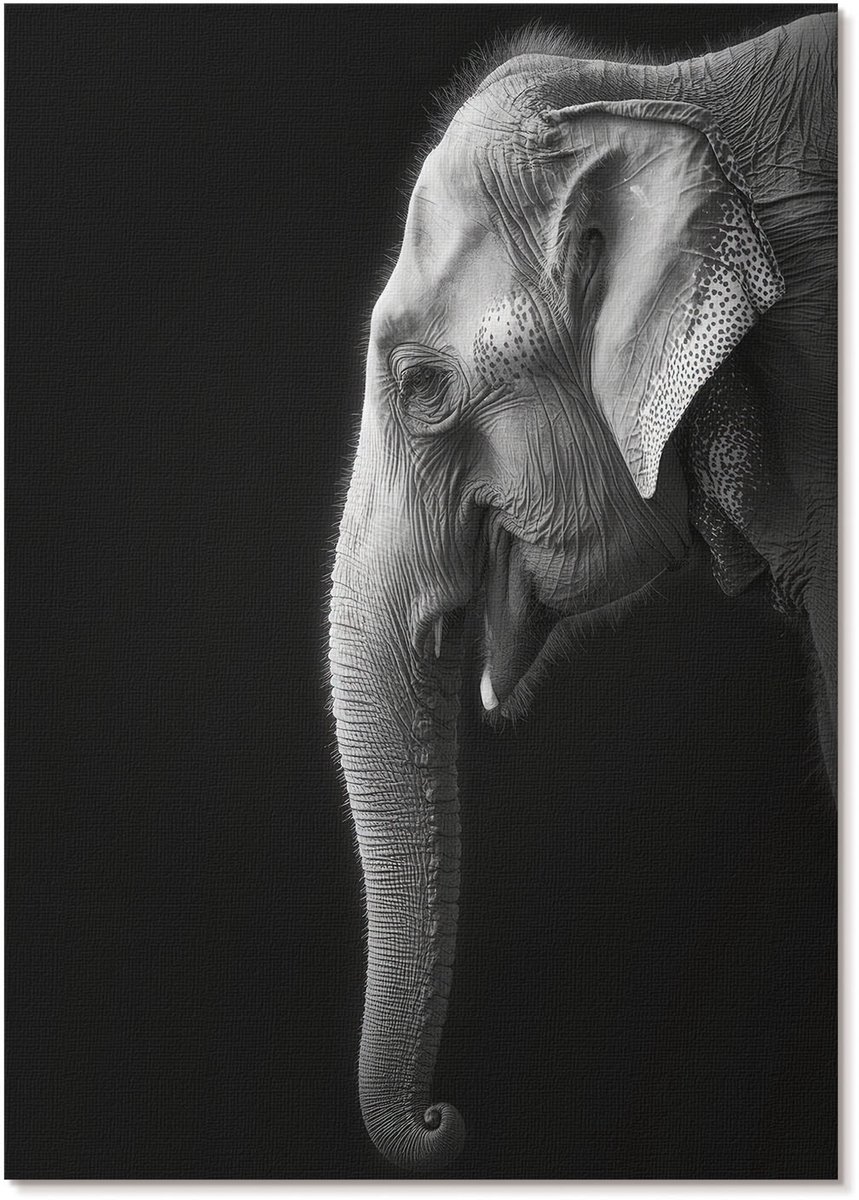 Tulup Polycanvas Wandposter - Profiel Van Een Olifant, Fotografie - A4 - Wit Wanddecoratie - Rechthoek - Muurkunst - Woonkamer, Slaapkamer, Kantoor - Klassiek