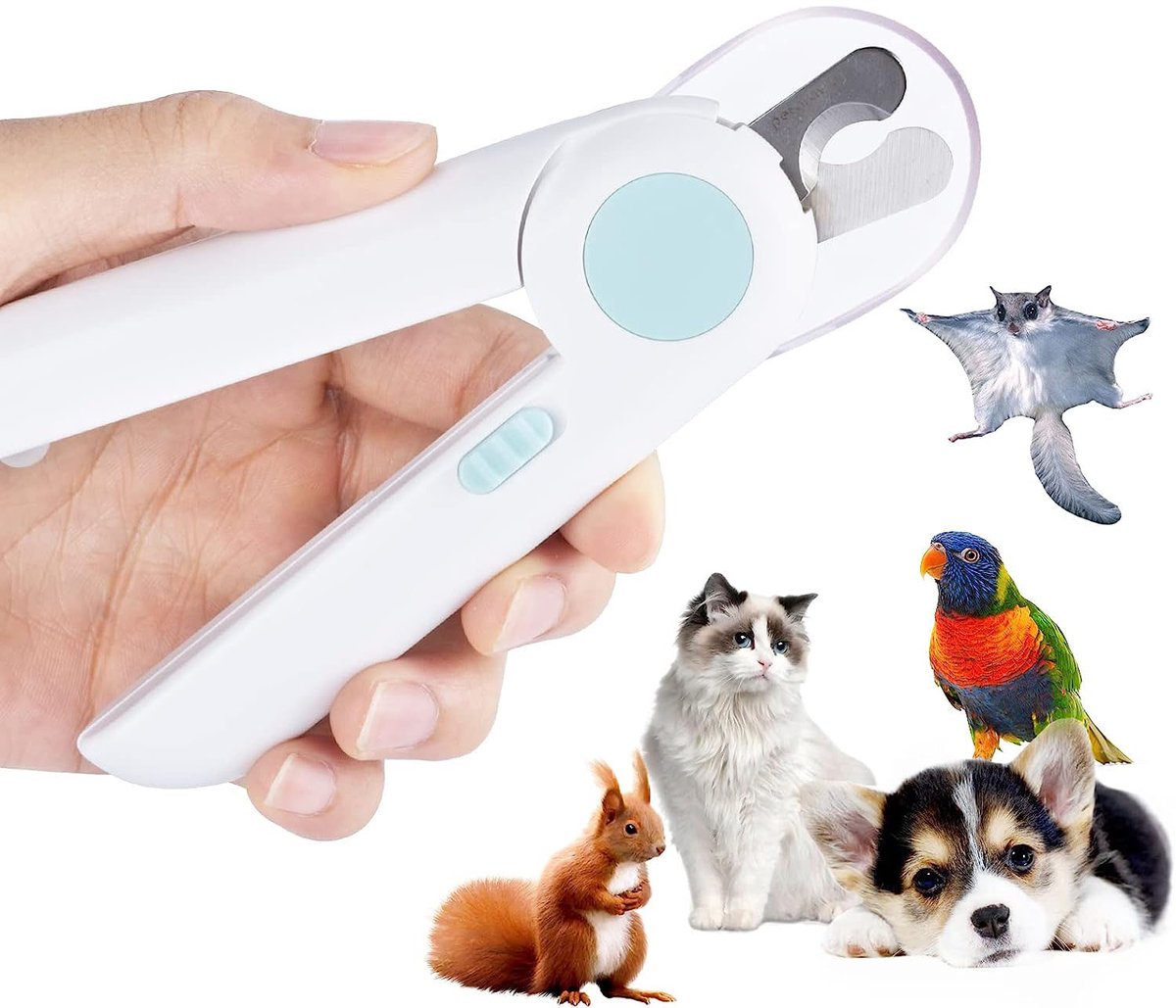 LED Nagelknipper Voor Katten Met Spatbescherming & Nagelvijl - Roestvrij Stalen Bladen, Afneembaar Schild, Veilig - Voor Katten Van Alle Groottes - Wit & Blauw